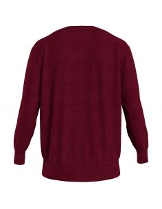 Tommy Hilfiger Ondergoed Track Top Red Letters 2