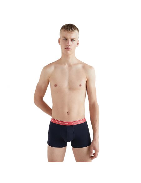 Tommy Hilfiger Ondergoed Men 3P WB TRUNK 0TU Des Sky/Colorado Blu/Frosted Cran