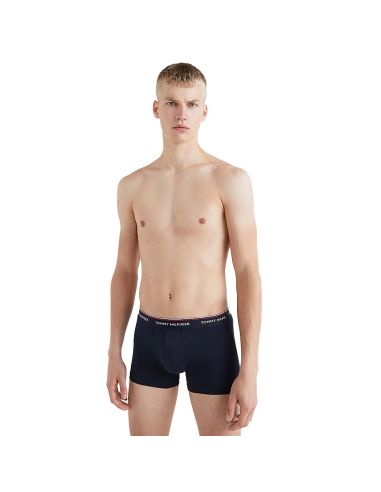 Tommy Hilfiger Ondergoed Men 3P WB TRUNK 0TU Des Sky/Colorado Blu/Frosted Cran
