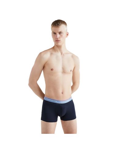 Tommy Hilfiger Ondergoed Men 3P WB TRUNK 0TU Des Sky/Colorado Blu/Frosted Cran