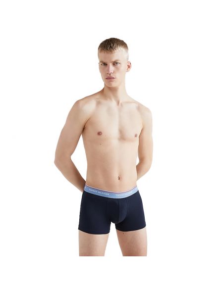 Tommy Hilfiger Ondergoed Men 3P WB TRUNK 0TU Des Sky/Colorado Blu/Frosted Cran