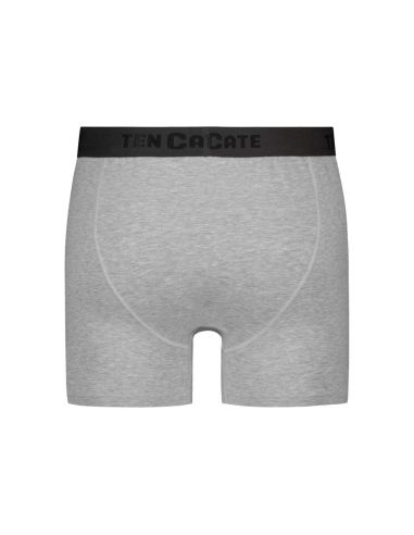Ten Cate Heren Basics Classic Shorts Cotton Stretch 2Pack Light Grey Melee
