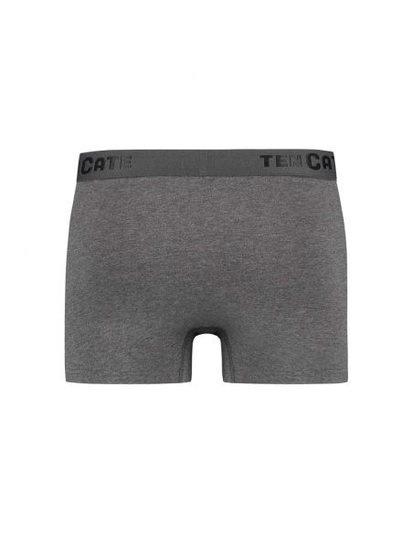 Ten Cate Heren Basics Shorty Cotton Stretch 2Pack Antraciet Melee