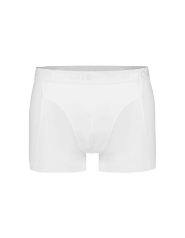 Ten Cate Heren Basics Shorty Cotton Stretch 2Pack Wit