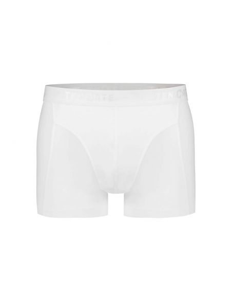 Ten Cate Heren Basics Shorty Cotton Stretch 2Pack Wit