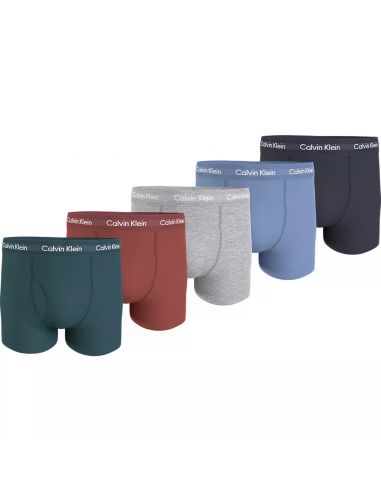 Calvin Klein Ondergoed Heren Boxer Trunks 5Pack I0D