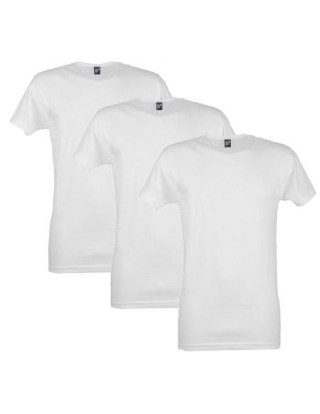 Alan Red T-Shirt Vermont 4Pack Wit