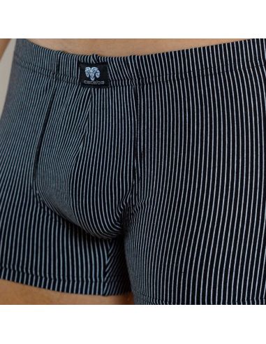 CeCeBa Heren Pants Spirit Modal 2pack