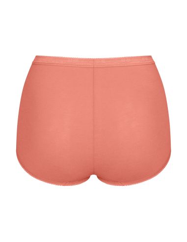 Sloggi Basic Maxi Slip 4 pack C4P V022 3+1 gratis