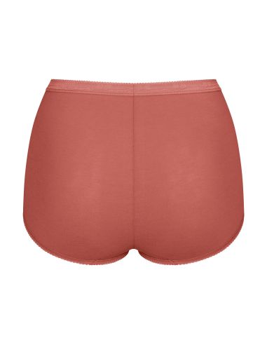 Sloggi Basic Maxi Slip 4 pack C4P V022 3+1 gratis