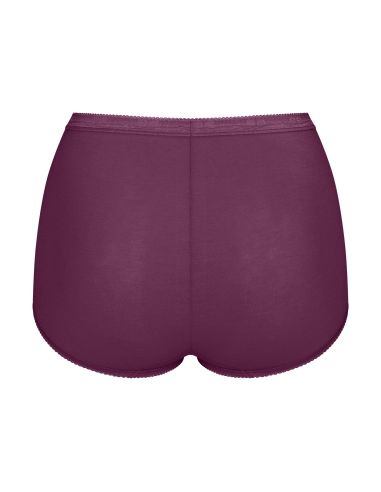 Sloggi Basic Maxi Slip 4 pack C4P V014 3+1 gratis