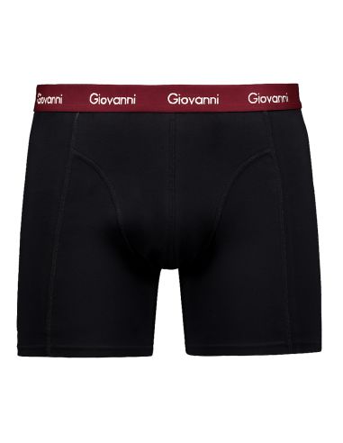 Giovanni Boxershorts 5pack Basics II
