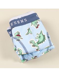 Claesens Jongens Boxer 3pack Dino 2