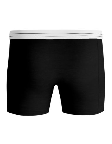 Bjorn Borg Heren Boxershorts Lenzing 2pack MP001