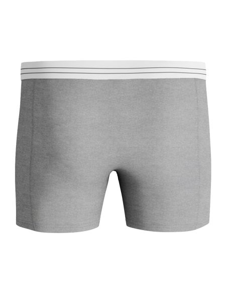 Bjorn Borg Heren Boxershorts Lenzing 2pack MP002