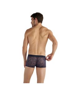 HOM Trunk Purple Navy 2