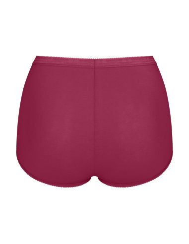 Sloggi Basic Maxi Slip 4 pack C4P 0033 3+1 gratis