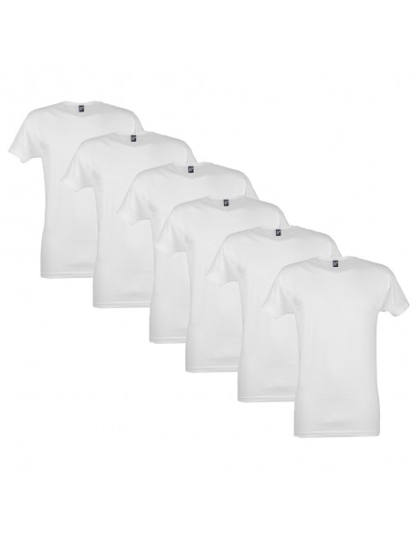 Alan Red T-Shirt Vermont 6Pack Wit