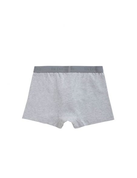 Ten Cate Jongens Boxershort 2Pack Cotton Stretch Light Grey Melee