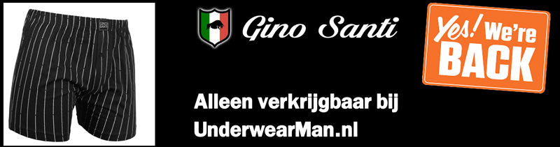 Gino Santi Banner