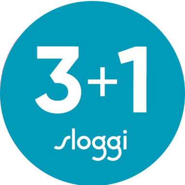 3+1